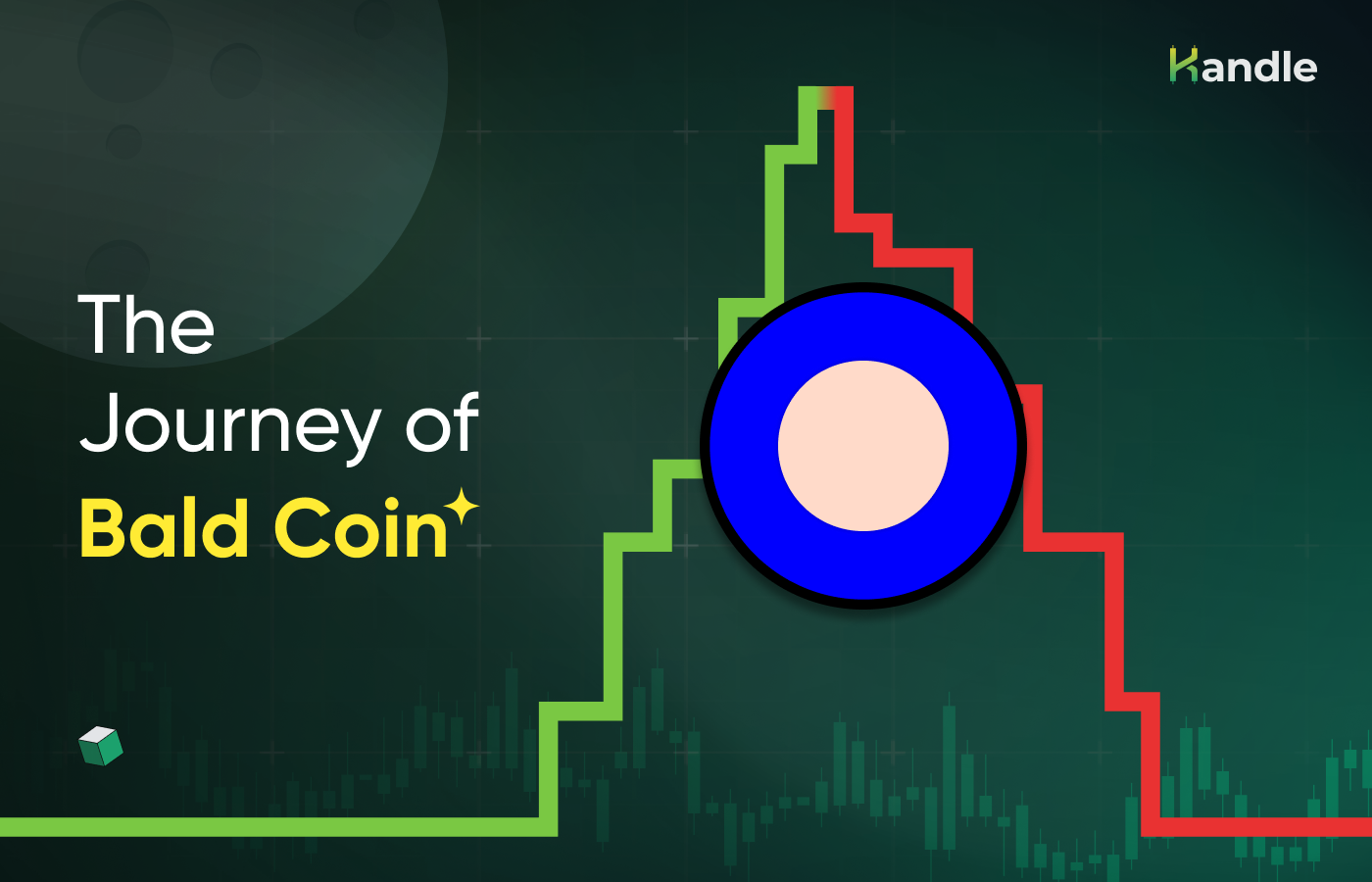 You are currently viewing The Journey of Bald Coin: Its Rise & Fall